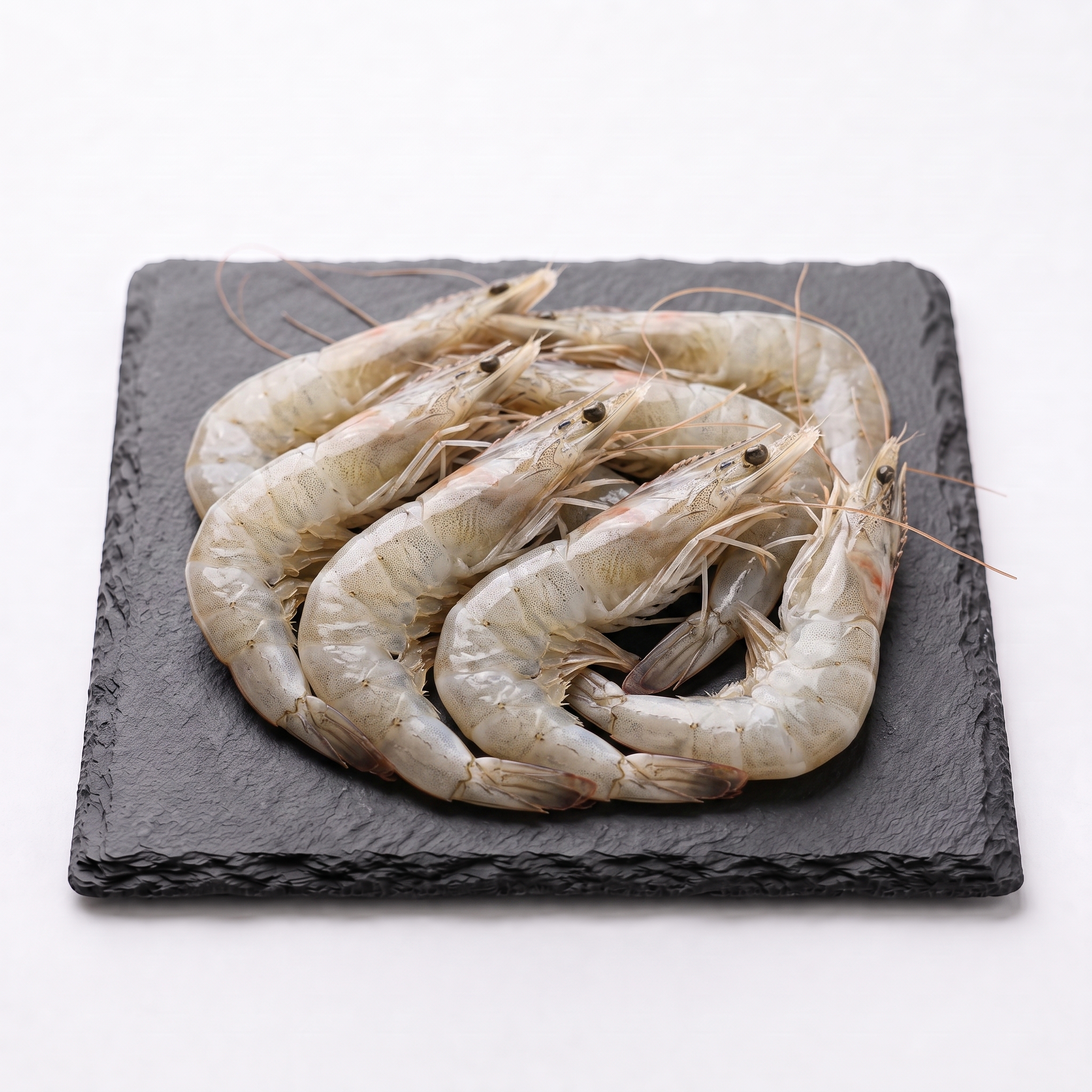 Gamba-fresca-blanca-gorda