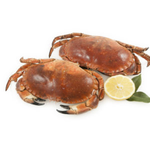 BUEY DE MAR COCIDO