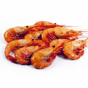 CAMARÓN GALLEGO COCIDO