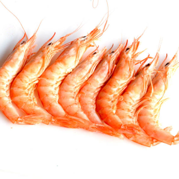 GAMBA MEDIANA COCIDA